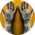 Amrin Henna